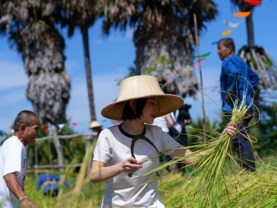 SS Rice News Convention 2025, Pattaya - Thailand